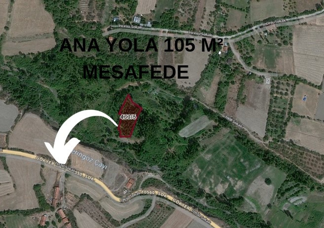 KASTAMONU TOSYA BAHÇELİEVLER KÖYÜNDE 2.549   M² ÇELTİK TARLAMIZ SATILIKTIR.  - KASTAMONU TOSYA fotoğraf 6